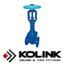 Bellows Sealling Gate Valve OS&Y Bb Flange End